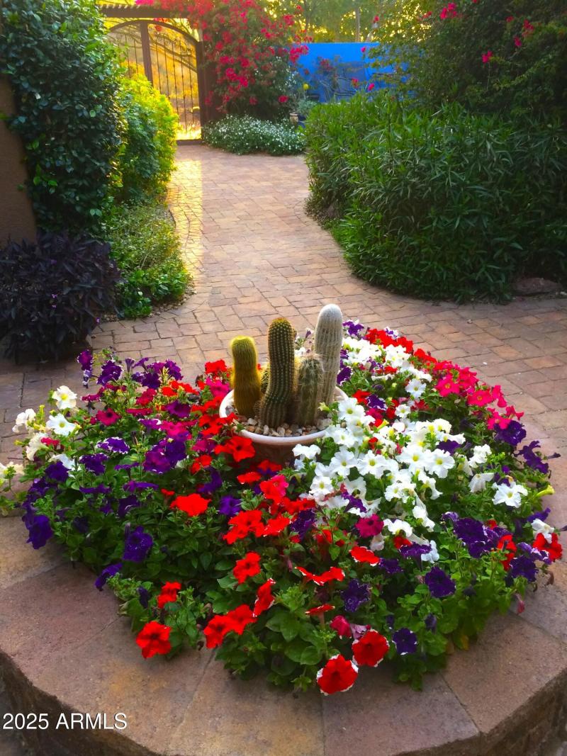 Bright, lush courtyard