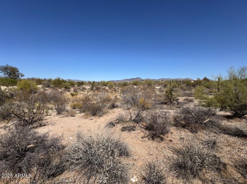 Screen Shot 2025-03-10 at 2.41.15 PM