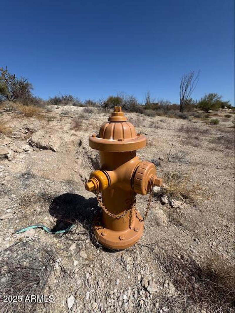 Screen Shot 2025-03-10 at 2.42.24 PM