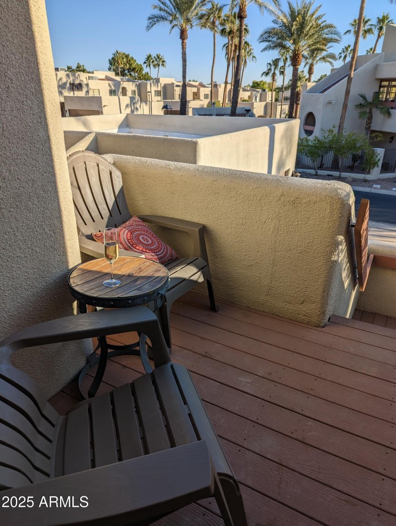 Front Patio & Palm Trees