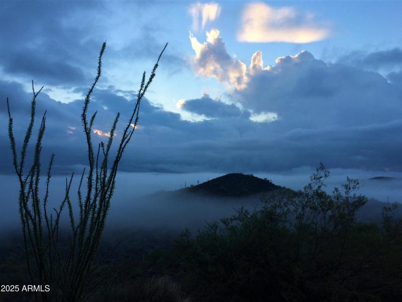 Sonoran desert views every day