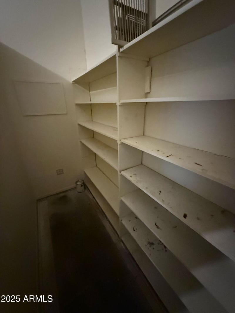 WhatsApp Image 2025-03-03 at 2.42.47 PM