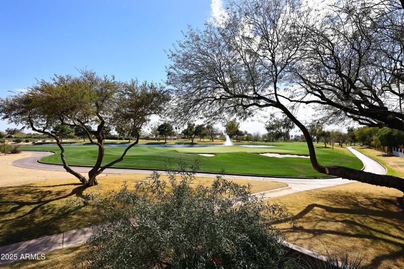 Golf Course View