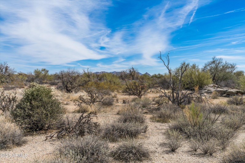 50-8167 E Leaning Rock Road #193 (26 of