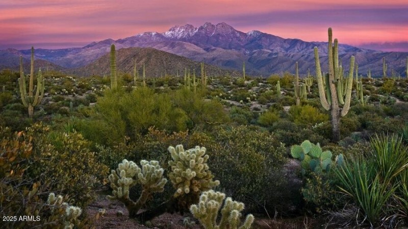 Four Peaks View