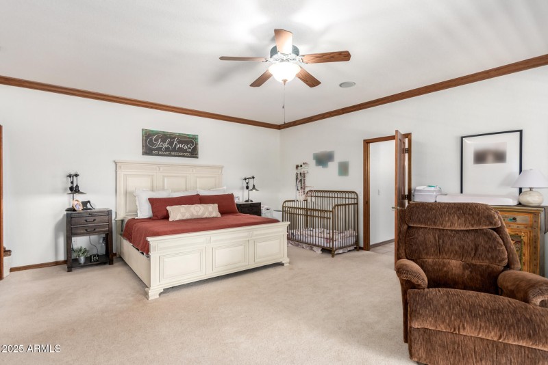 Plush Carpet & Natural Wood Enhancements