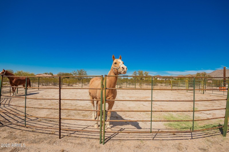 Horse Corral with Electric & Water