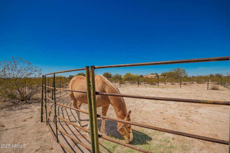 Another View of the Corral