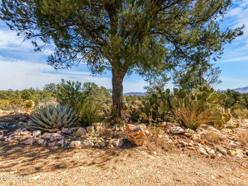 15555 S Middle Ridge Rd-64