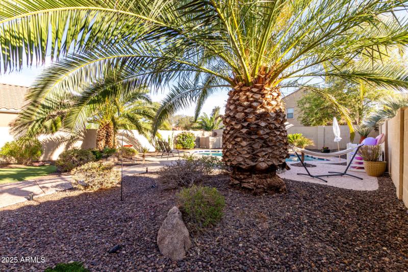 Resort Style Backyard