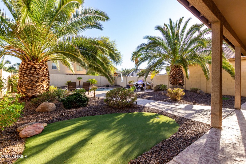 Resort Style Backyard