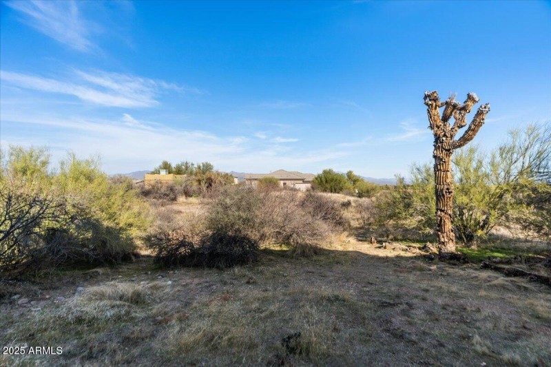 private acre lot - natural desert