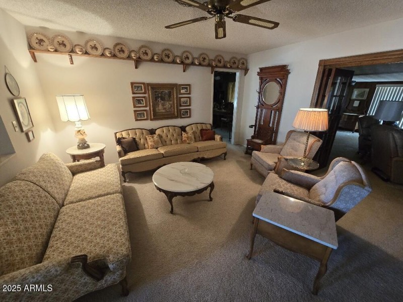 20241217_151132_resized