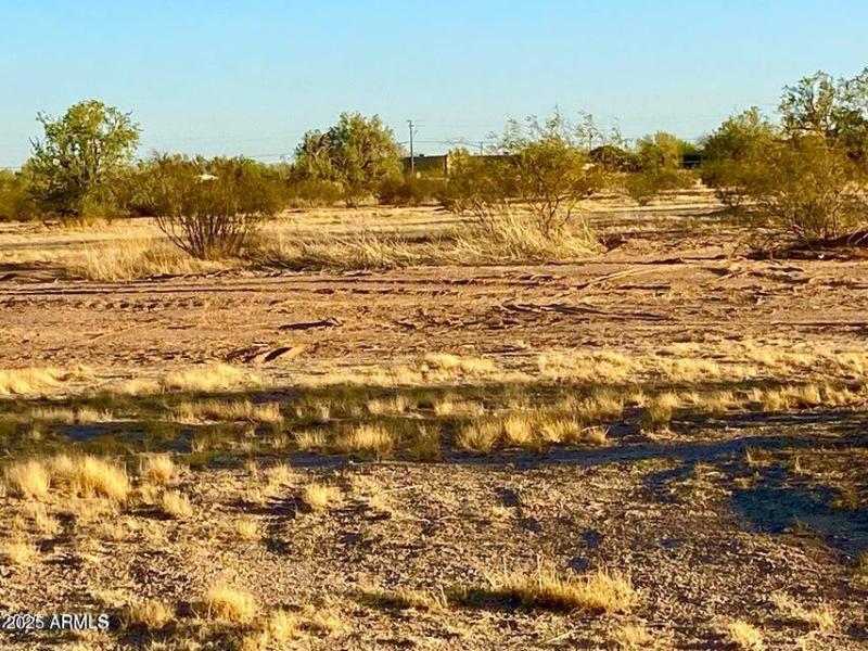 20250331052725548681000000-o