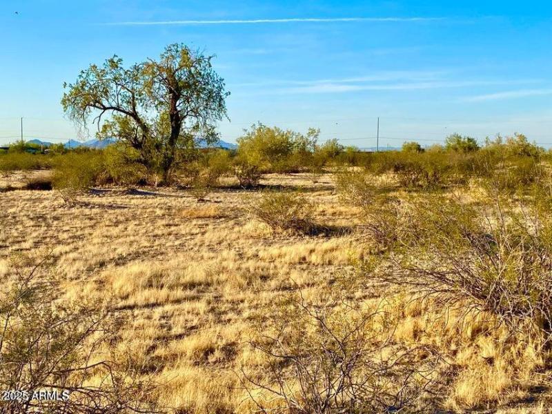 20250331052133113330000000-o