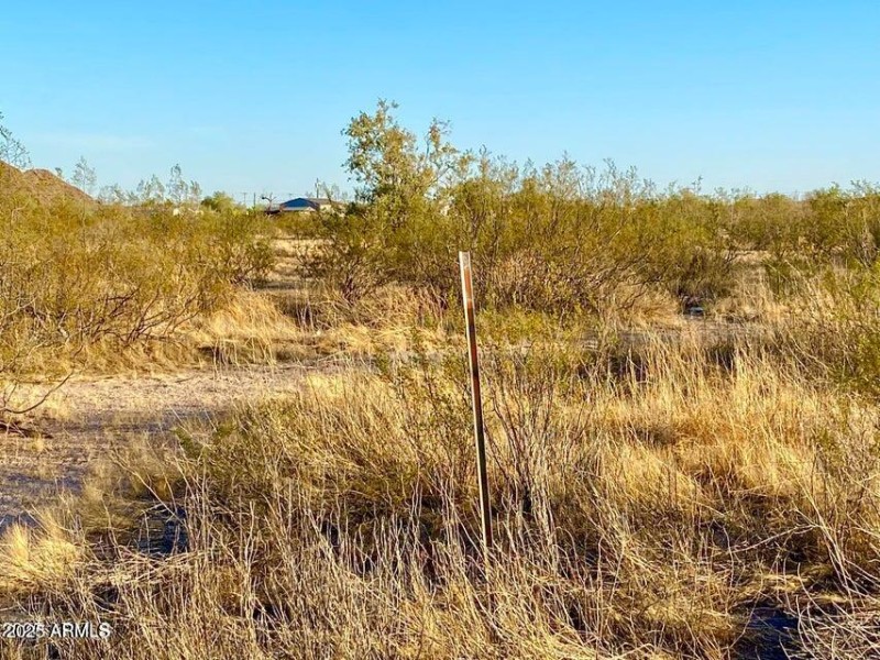 20250331052506884703000000-o