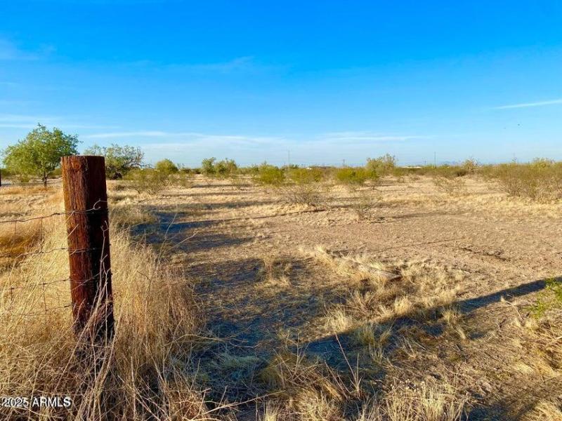 20250331052002825665000000-o