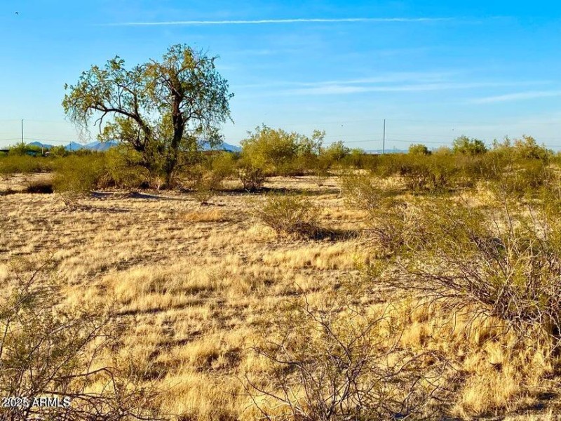 20250331052133113330000000-o