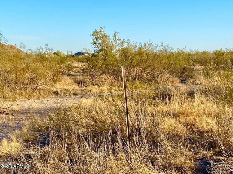 20250331052506884703000000-o