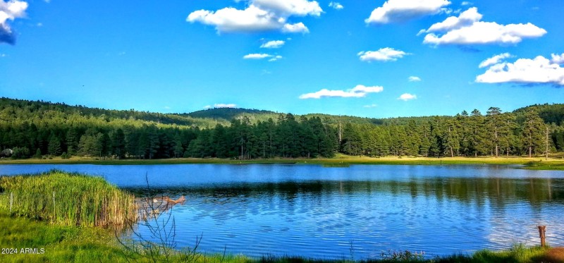 2 minute walk to Lake Odel (2)