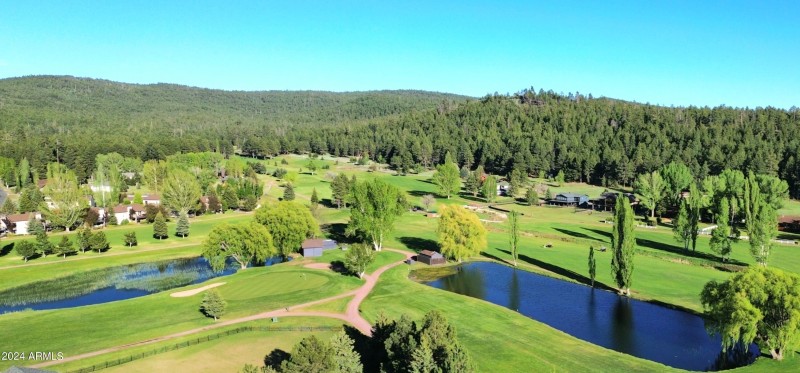 Pinewood Golf Course (1)