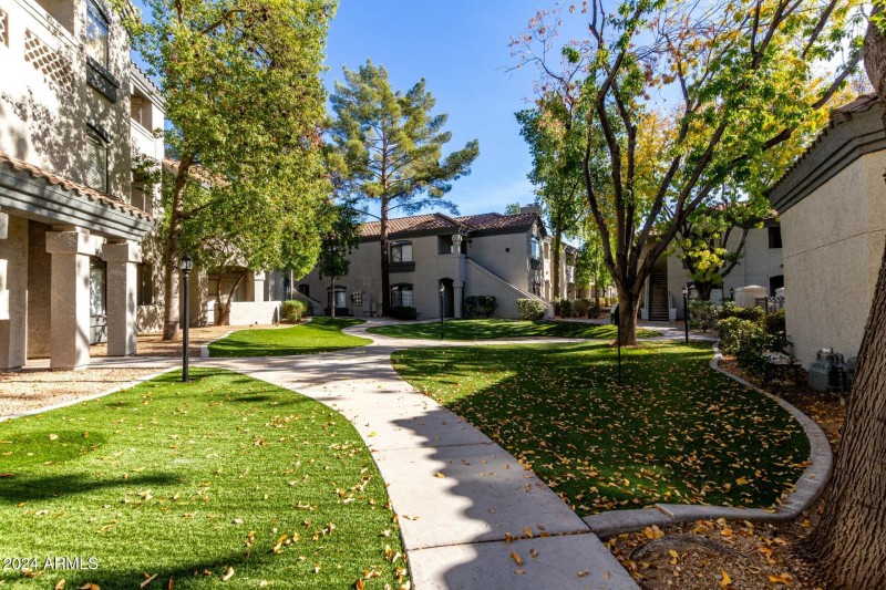 Community grounds