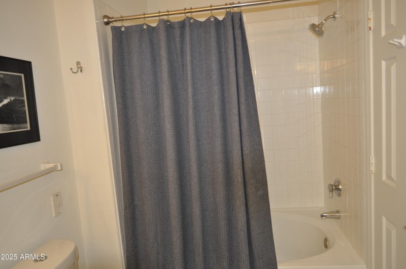 BATHROOM SHOWER TUB