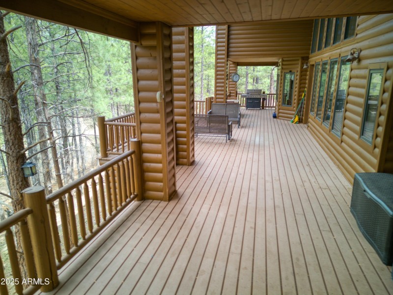 032_Back Deck