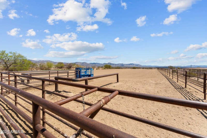 46-web-or-mls-DSC07113