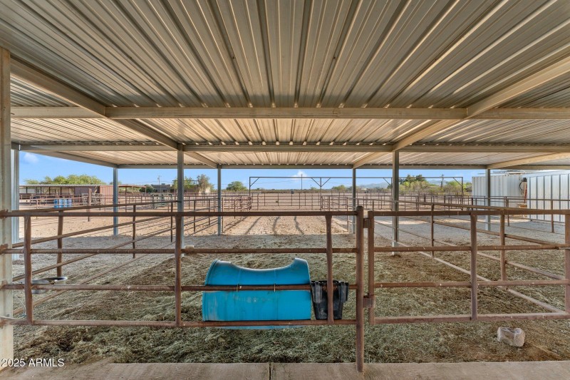 51-web-or-mls-DSC08345