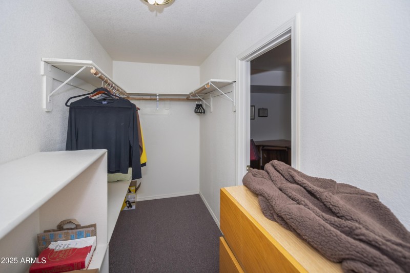 Downstairs Den Closet