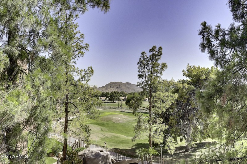 4303 E Cactus Rd Unit 442 (24)