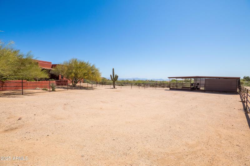 Lots of room for horses