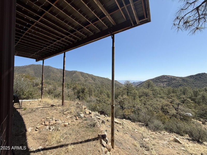 Views from under home