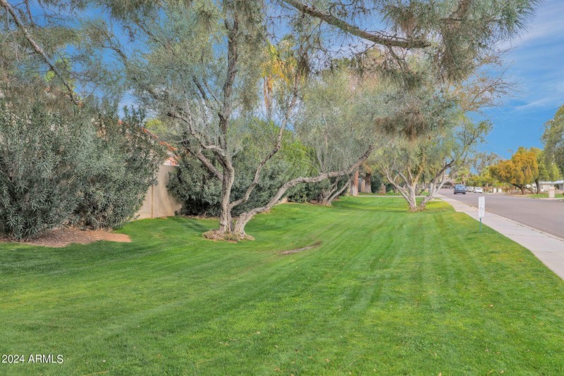 43-web-or-mls-P1015305