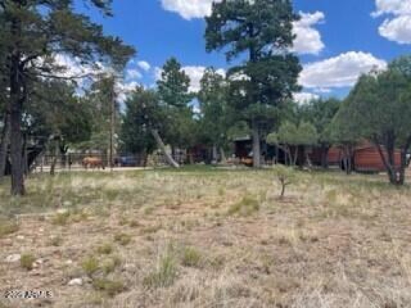 back corner toward house