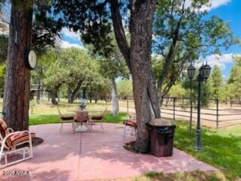 backyard paved picnic area