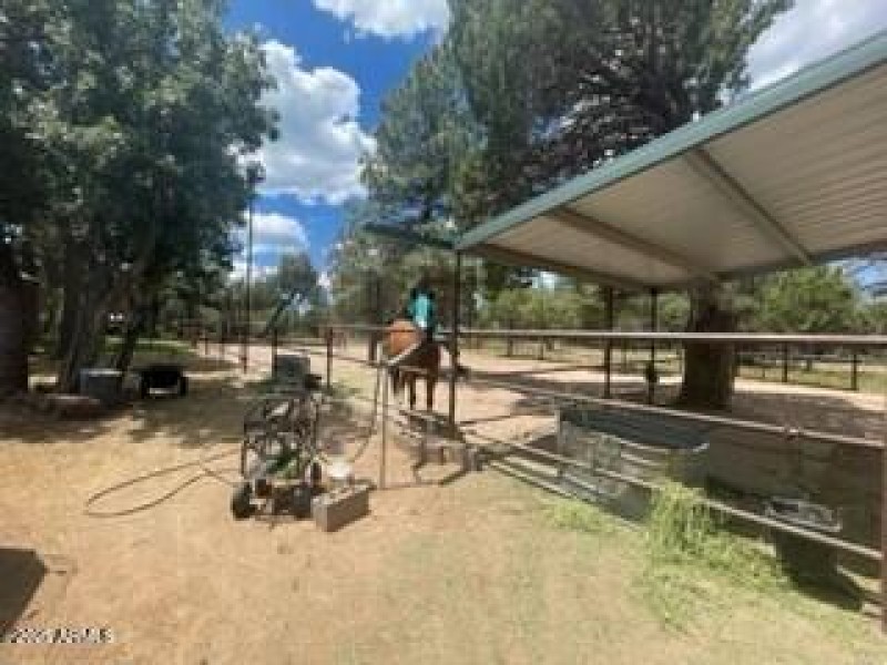 horse corral divider