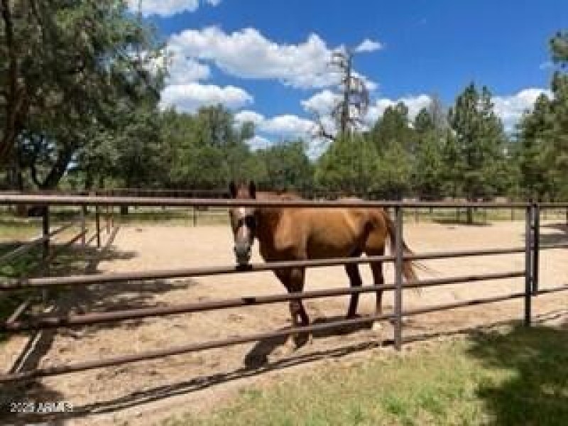 horse corrals 2nd view