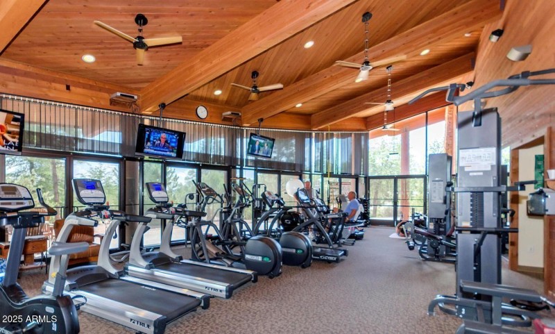 20240913225526403784000000-o