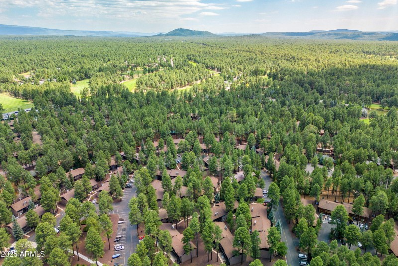 2860SportsVillageLoop-Pinetop-AZ-22