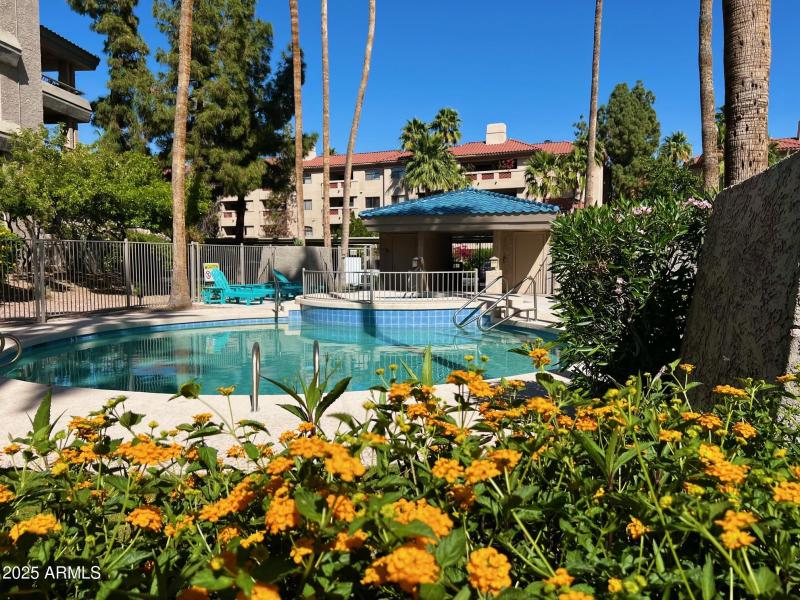 One of two community swimming pools