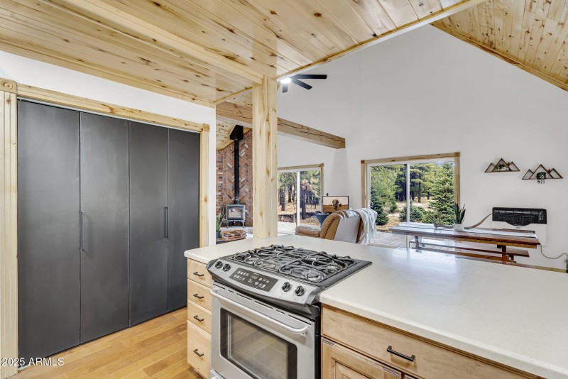 017_42-web-or-mls-forest-26_108