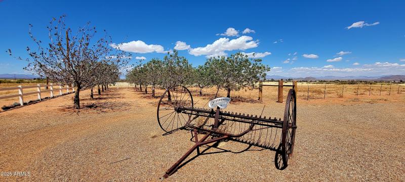 11 East Irene Street