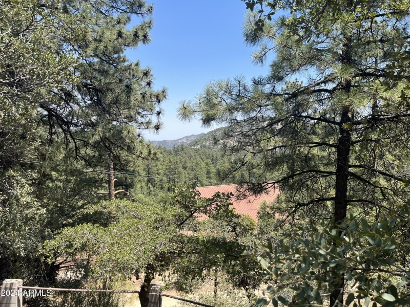 Views from the patio