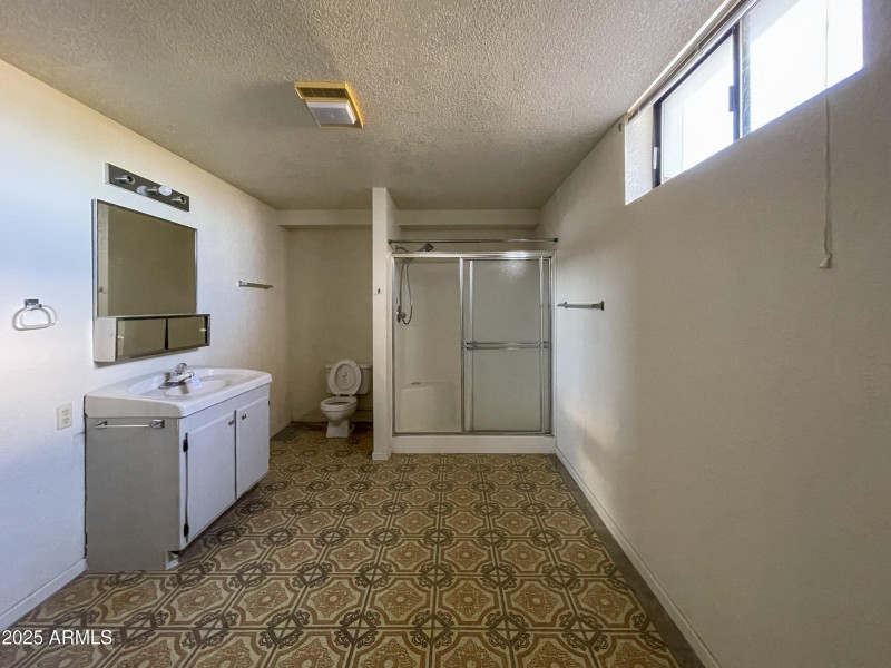 Basement Bathroom