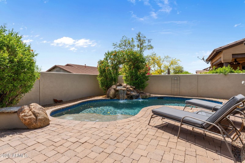 Backyard Oasis