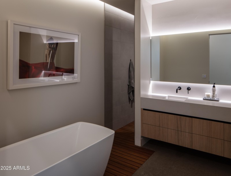 Primary Shower Entry