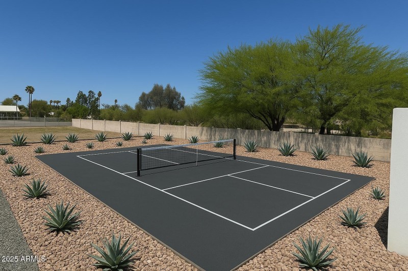 Pickleball Rendering