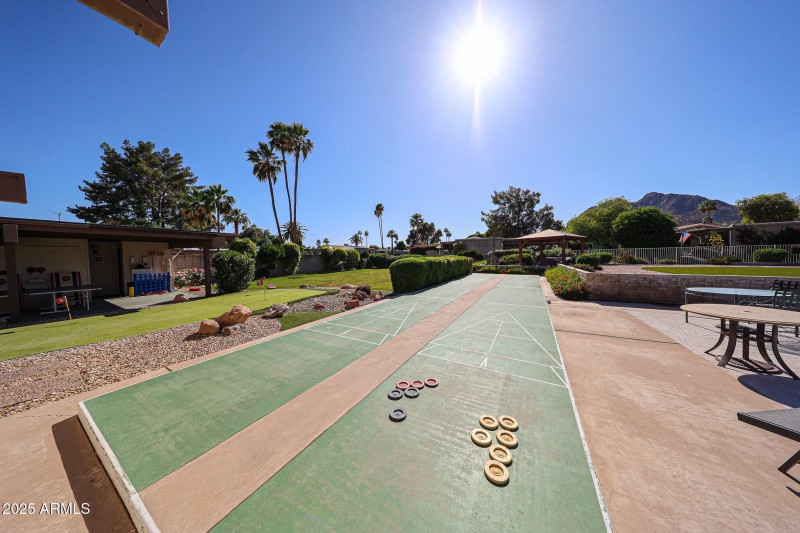 Community Shuffle Board